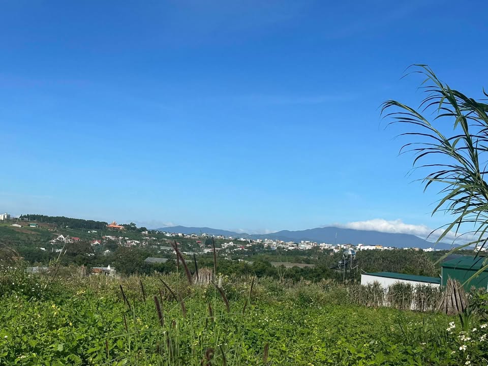 Đất nền Tân Văn Lâm Hà 40,000m² giá 1.44 tỷ - Sổ đỏ chính chủ, thương lượng tốt!