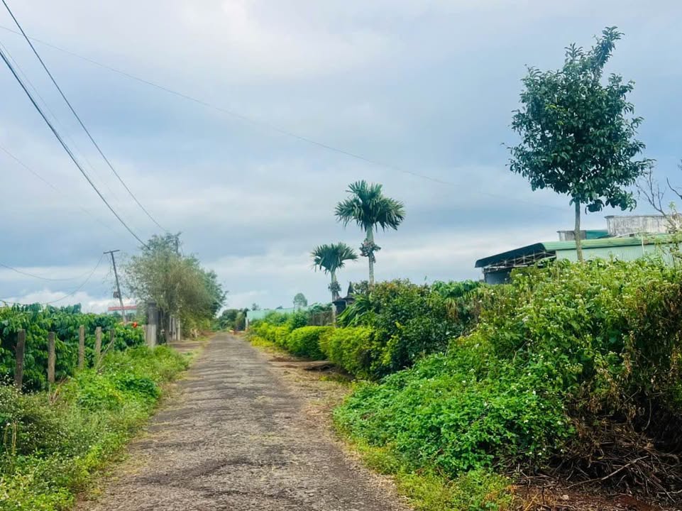 Đất liền kề đường Hà Huy Tập 135m² giá chỉ 500 triệu - Cơ hội đầu tư tuyệt vời!