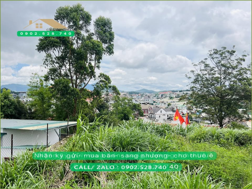 Đất nền 235m² đường Ngô Quyền, Đà Lạt - View đỉnh đồi cực đẹp chỉ 10 tỷ!