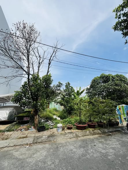 Đất nền Linh Xuân 67m² giá 4.3 tỷ - Khu dân trí cao, đường rộng rãi!