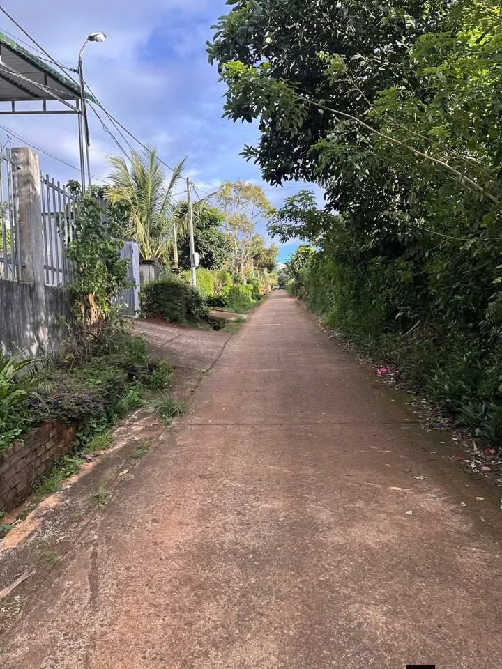 Đất nền Đạt Hiếu, Buôn Hồ 4080m² giá chỉ 1.5 tỷ - Cơ hội đầu tư tuyệt vời!