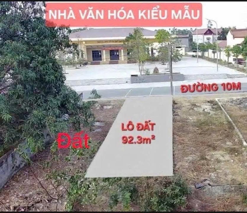 Đất nền chính chủ tại TDP Tam Quang, Gia Khánh, 90m² - Cơ hội đầu tư hấp dẫn!