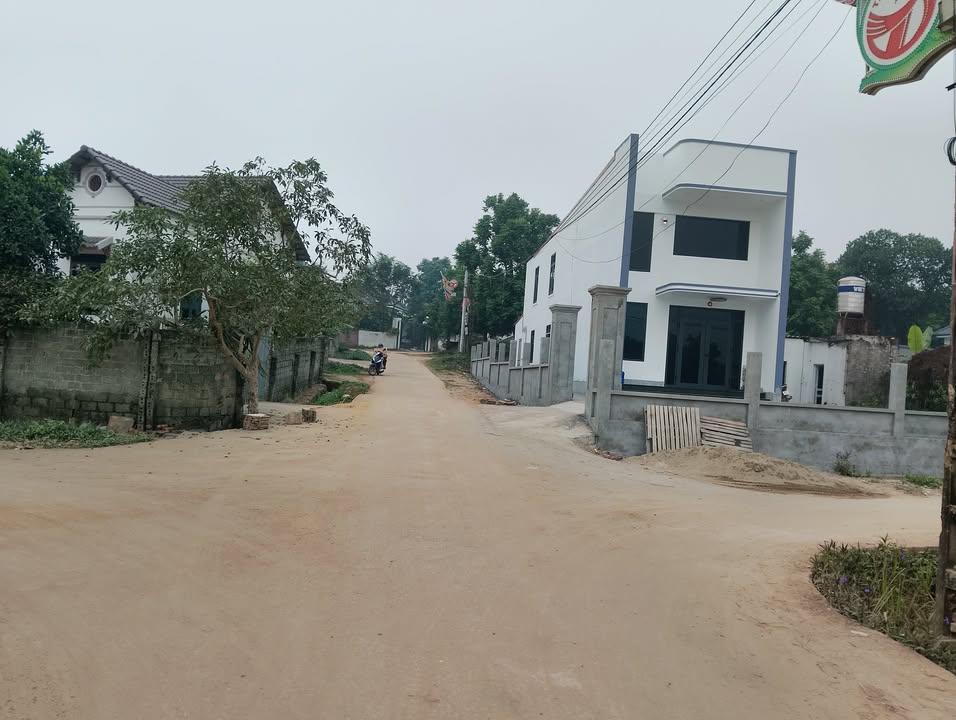 Đất nền Kim Long, Tam Dương 100m² giá chỉ từ 400 triệu - Cơ hội đầu tư tuyệt vời!