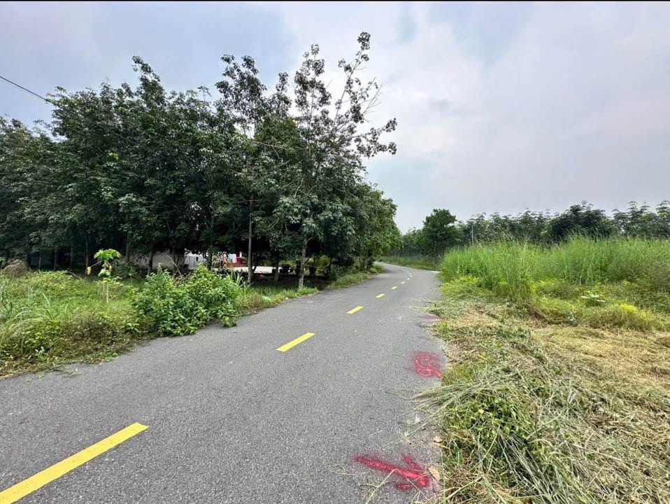 Đất nền Nhựa Lai Uyên 165m² giá 700 triệu - Sổ hồng riêng, vị trí đắc địa!