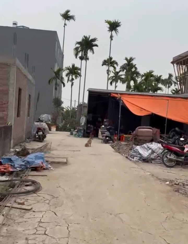 Nhà phố Hồng Thái, An Dương 50,2m² giá 1,3 tỷ - Lô góc đẹp, vị trí đắc địa!