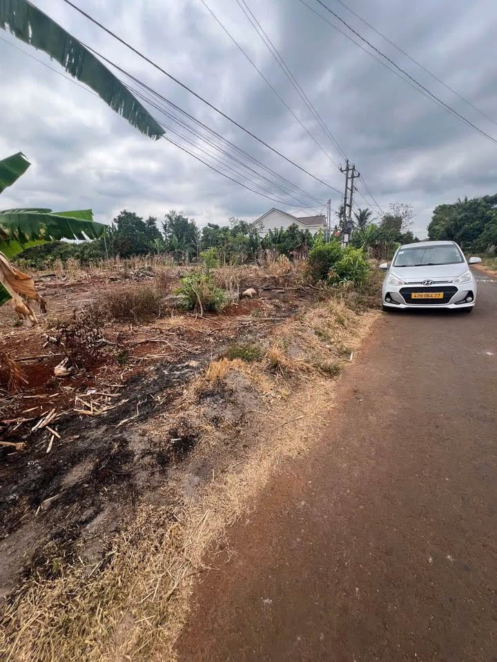 Đất thổ cư 130m² mặt đường nhựa Thôn 3, Cư Suê - Giá chỉ 535 triệu!