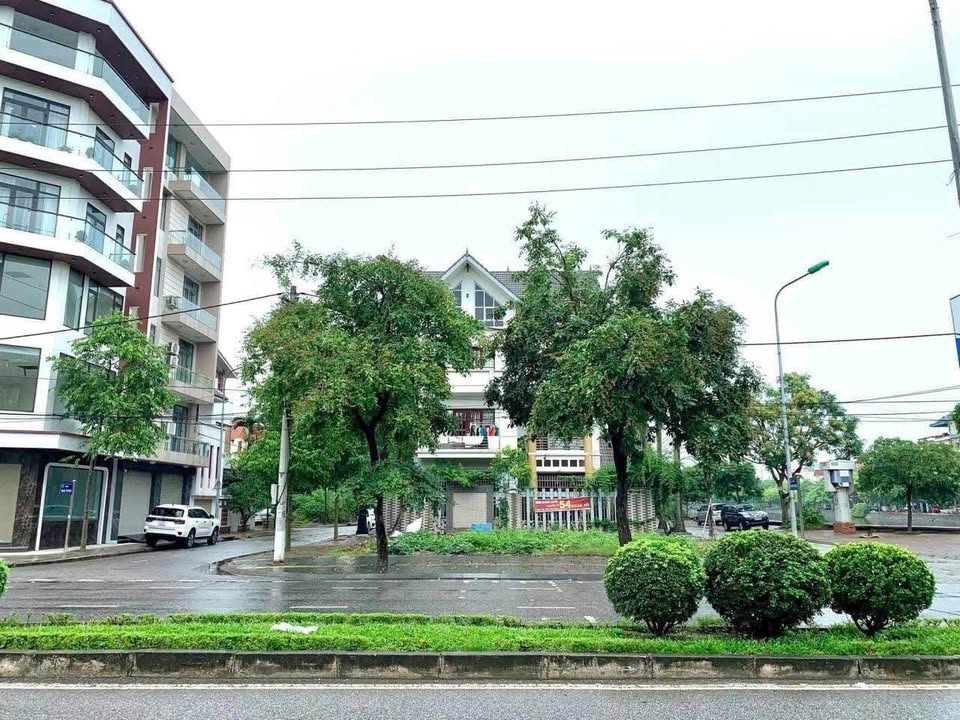 Bán lô đất mặt đường Trường Chinh, Hải Dương 60.75m² - Vị trí đắc địa, sổ hồng chính chủ!