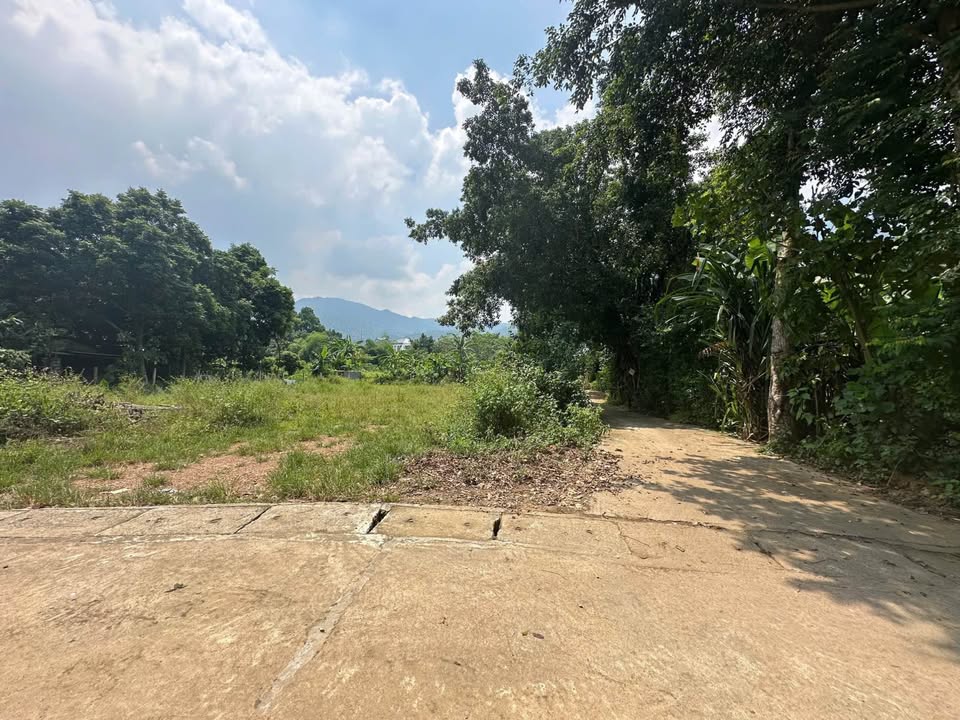 Đất nền Yên Bài Ba Vì 1100m² - Sổ đỏ chính chủ, hai mặt tiền thoáng đẹp!