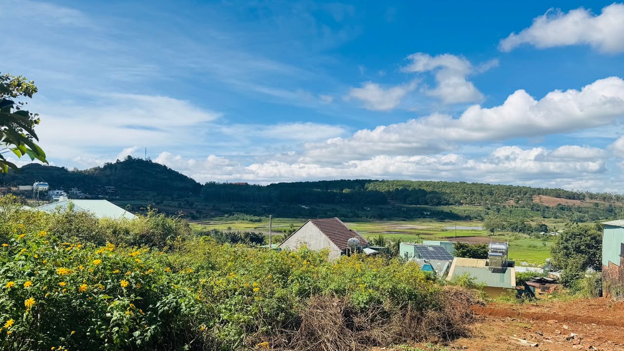 Đất nền hẻm 03 Nguyễn Thiếp, Pleiku 200m² giá 1.4 tỷ - Hướng Đông, view đồi thông