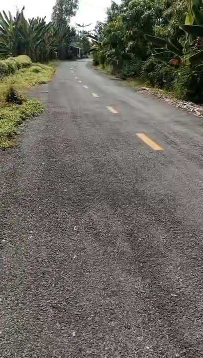 Bán đất mặt tiền TL864 xã Mỹ Lương, Cái Bè 3700m² - Tiềm năng đầu tư lớn!