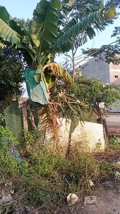 Đất nền 250m² tại Võng Xuyên, Phúc Thọ - Giá tốt, vị trí đẹp!