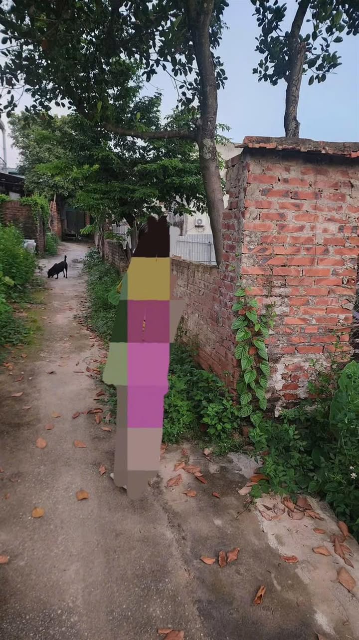 Lô đất Ngô Xá, Phật Tích, Tiên Du 72m² giá 1 tỷ - Chính chủ bán gấp!