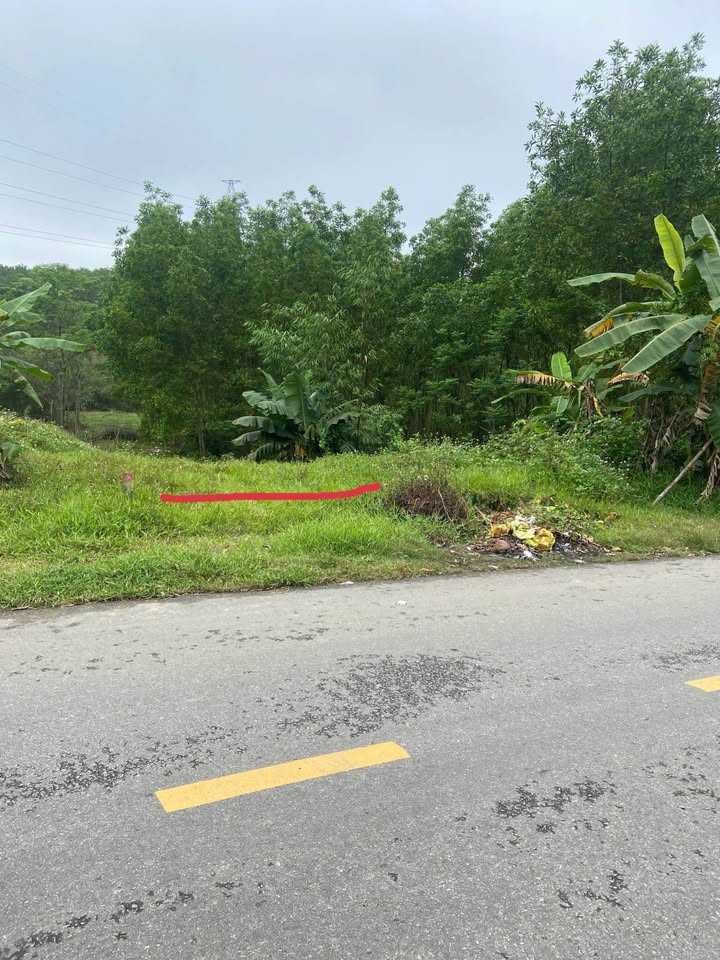 Đất mặt tiền Phùng Quán, Hương Thủy 181m² giá 905 triệu - Cơ hội đầu tư tốt!