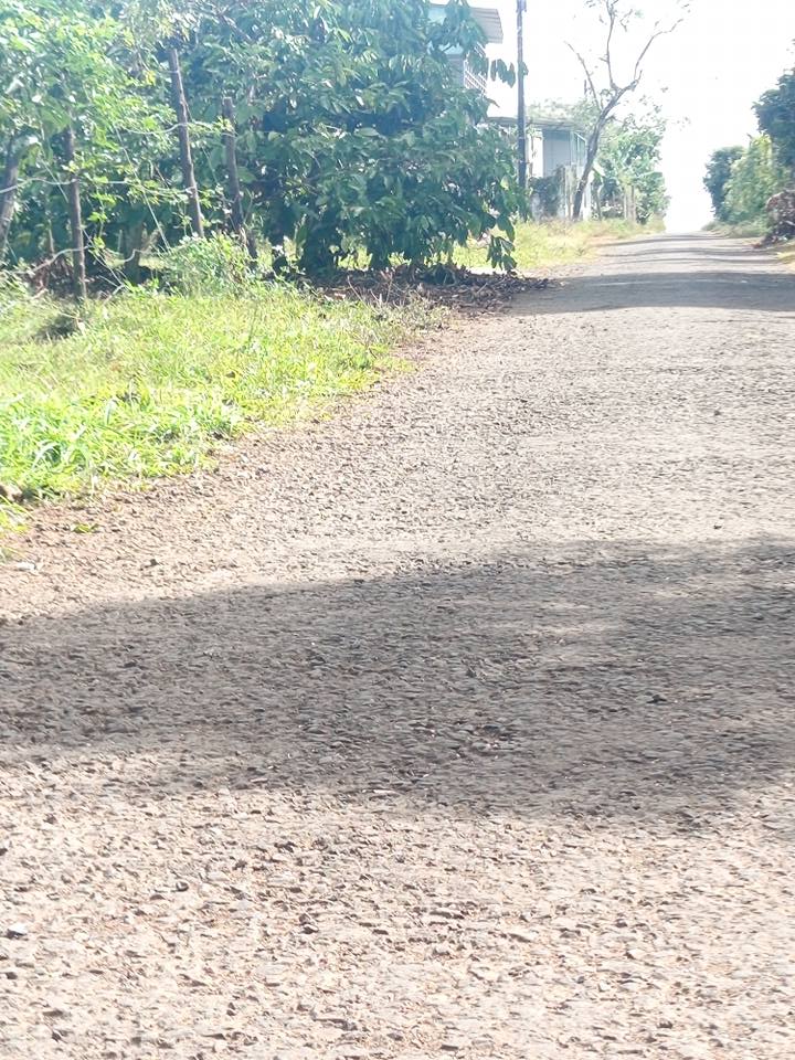 Đất nền chính chủ tại hẻm 46 Nguyễn Kiệm, 495m² chỉ 850 triệu - Cơ hội đầu tư hiếm có!