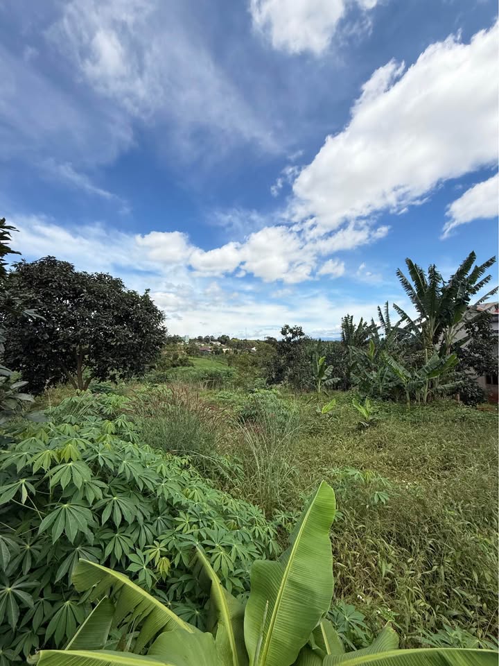 Đất nền Trà Đa, Pleiku 150m² giá 650 triệu - Đầu tư sinh lời ngay!