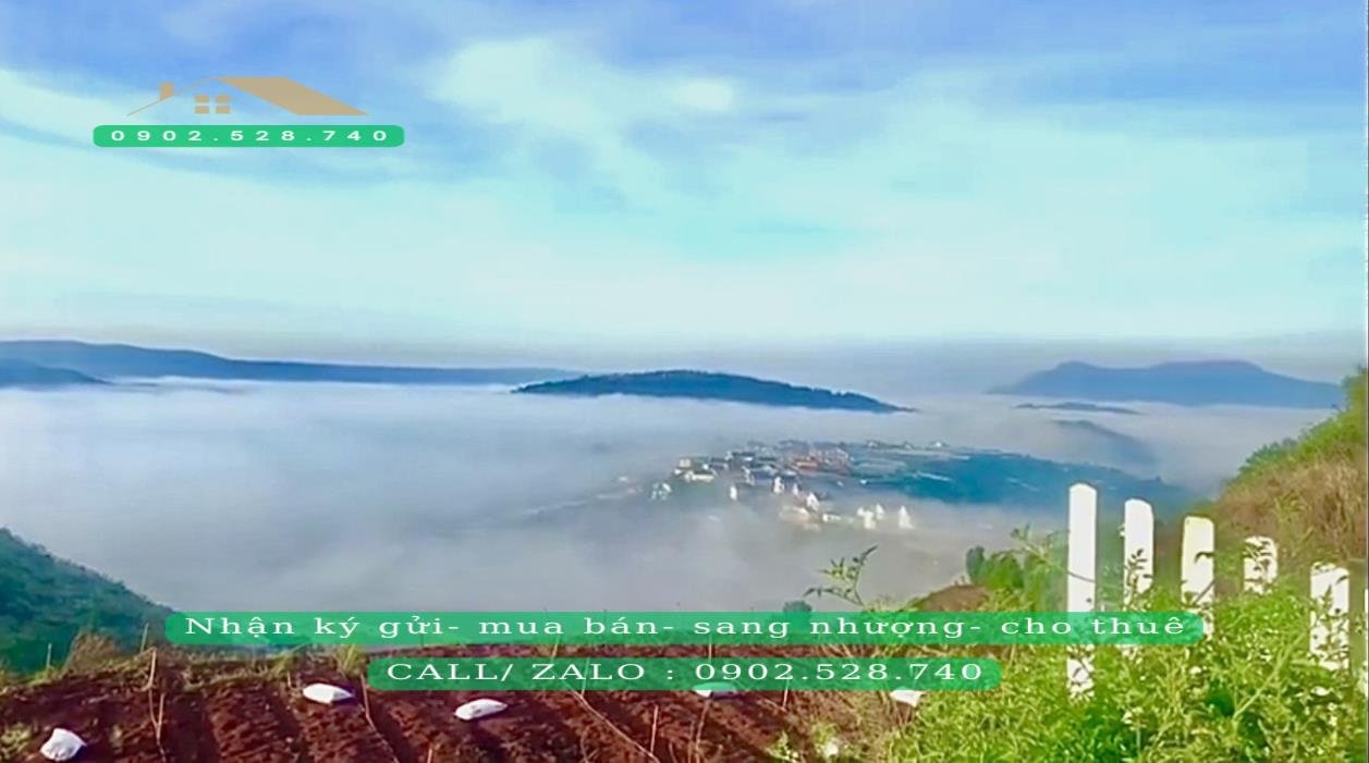 Đất Xây Biệt Thự Famstay Xuân Thọ Đà Lạt 912m² giá 16 tỷ - View săn mây tuyệt đẹp!