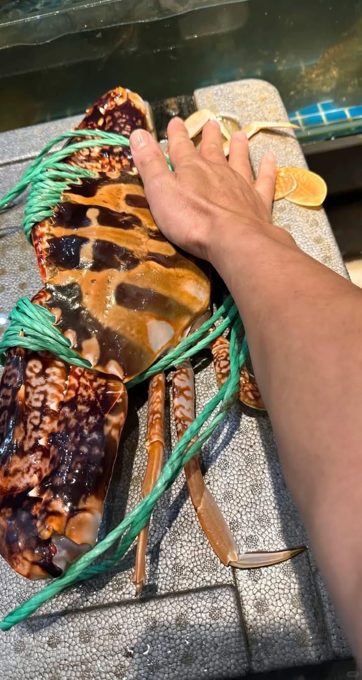 Đất nền Trần Lãm Thái Bình 63m² giá 3.7 tỷ - Lô góc hiếm có, vị trí đắc địa!