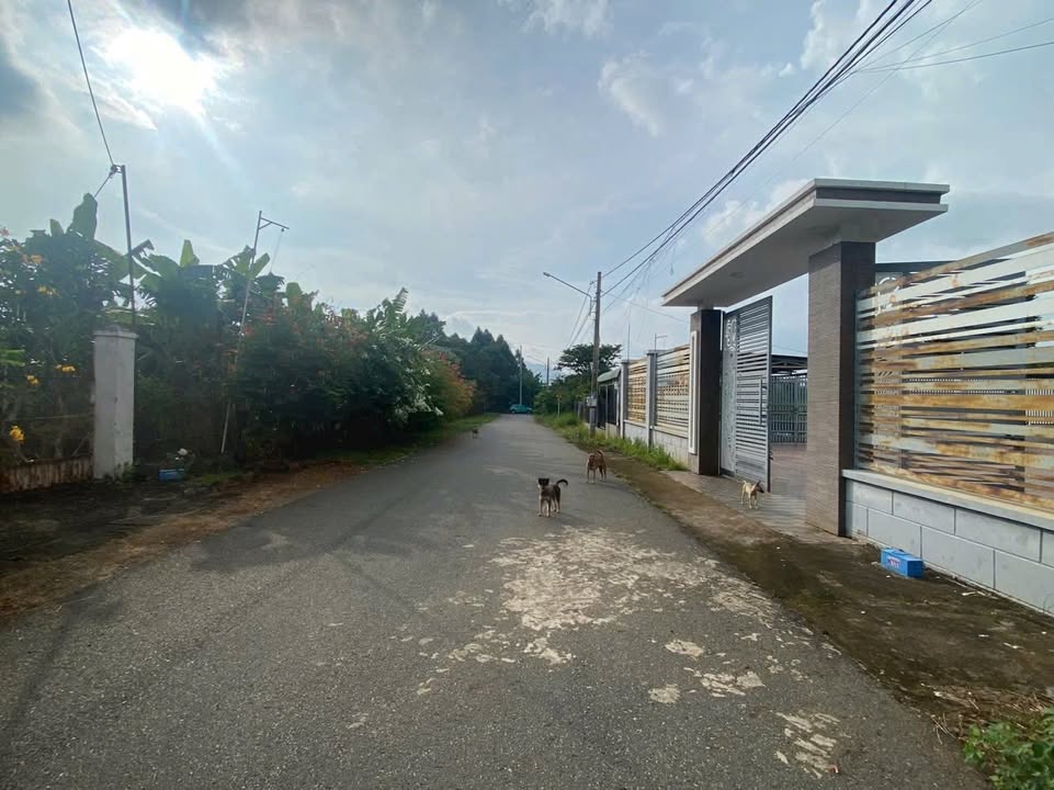 Đất nền Hòa Long Bà Rịa 516m² giá 3.7 tỷ - Đầu tư sinh lời ngay!