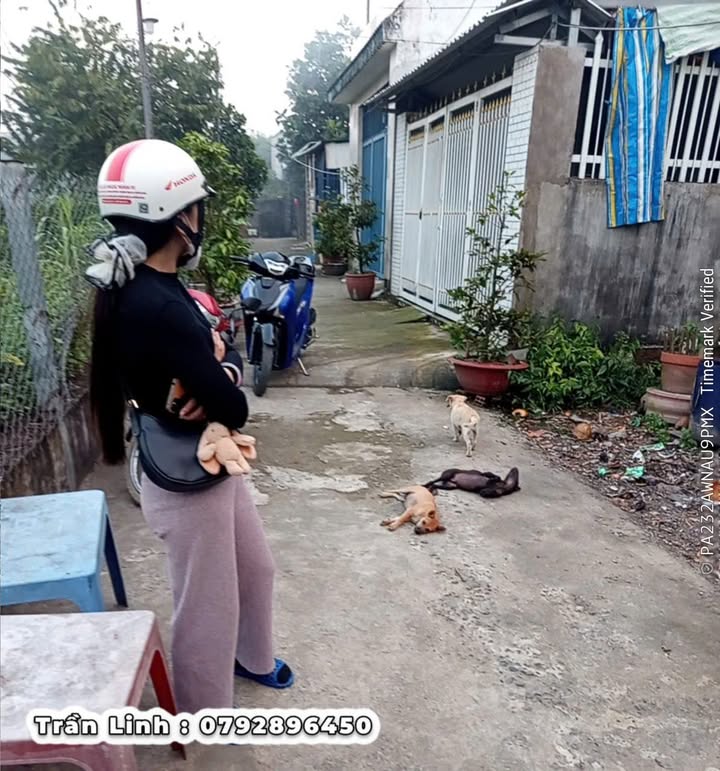 Đất nền Đại Phước Nhơn Trạch 88m² giá 500 triệu - Cơ hội đầu tư hấp dẫn!