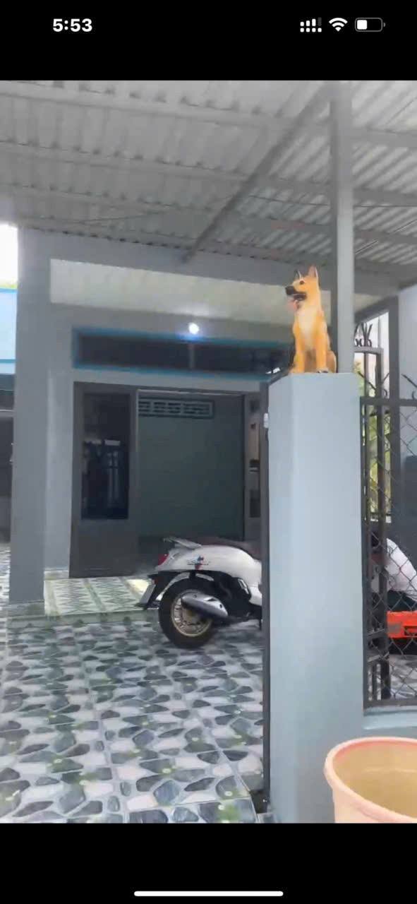 Nhà riêng hẻm Ba gác xã Phú Đông 75m² giá 1.65 tỷ - Sổ hồng đầy đủ, chính chủ!