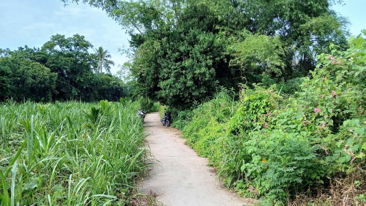 Đất ở An Phú Quảng Ngãi 100m² giá 450 triệu - Cần tiền giảm ngay 100 triệu!