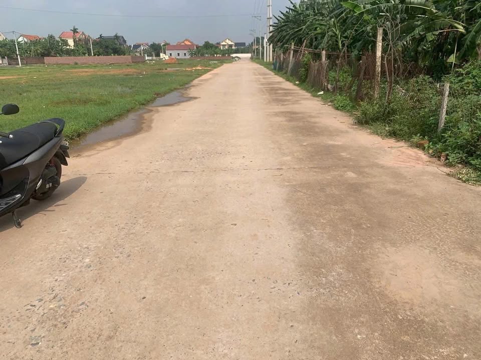 Đất nền Bản Nguyên, Lâm Thao, Phú Thọ 214m² - Đầu tư sinh lời ngay!