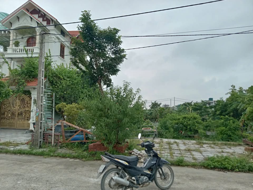 Bán đất KĐT Thổ Trì Ninh Bình 145,5m² - Đầu tư sinh lời tại khu vực phát triển!