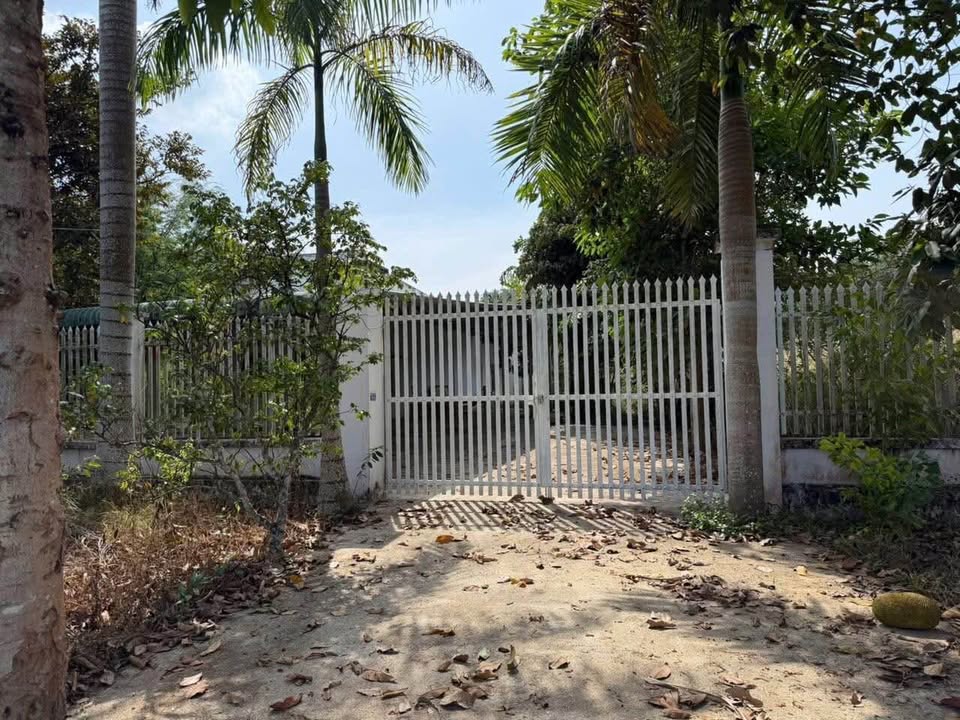 Nhà cấp 4 Bàu Bàng 3700m² giá 4 tỷ - Mặt tiền đường ĐH 619 rộng rãi!