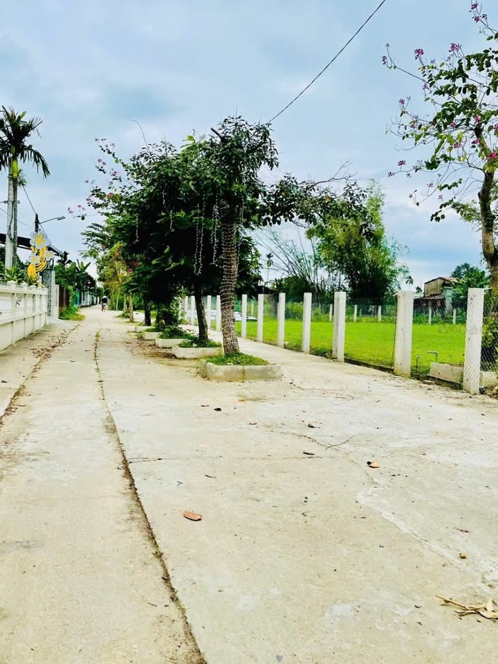 Đất nền Điện Hồng - Điện Bàn 150m² chỉ 600 triệu - Cơ hội đầu tư hấp dẫn!