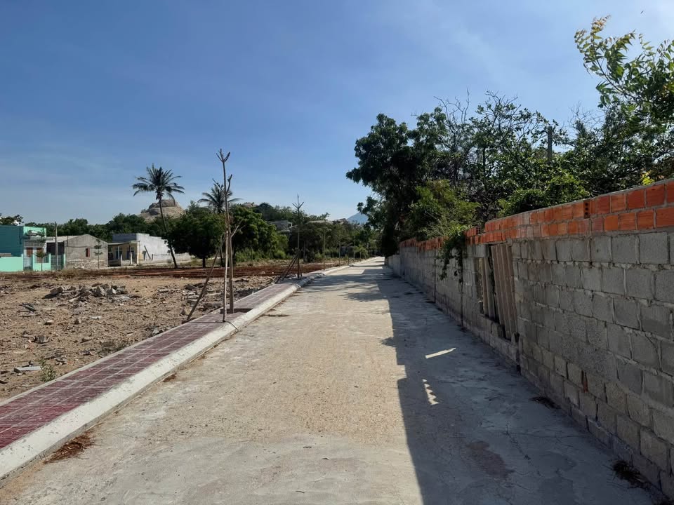 Đất Biển Cà Ná Ninh Thuận 80m² giá 900 triệu - Đầu tư sinh lời cao!