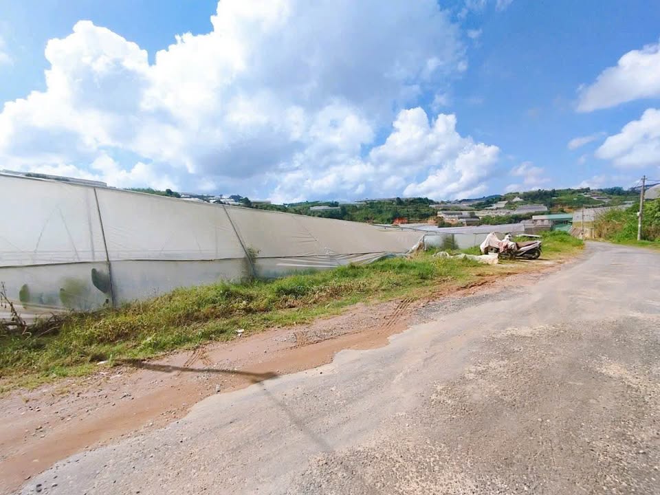 Đất mặt tiền Kim Thạch, phường Langbiang, Đà Lạt 873m² giá 5.238 tỷ - Đầu tư sinh lời hiếm có!