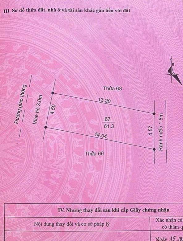 Đất mặt đường lớn Tân Hưng 61.3m² giá 1.2 tỷ - Sổ đỏ chính chủ, thuận tiện đầu tư!