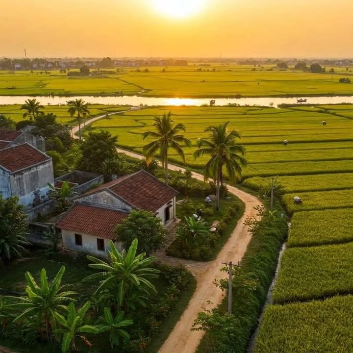 Đất ở Hòa Nhơn 990m² giá 5 tỷ - Pháp lý rõ ràng, phù hợp làm vườn