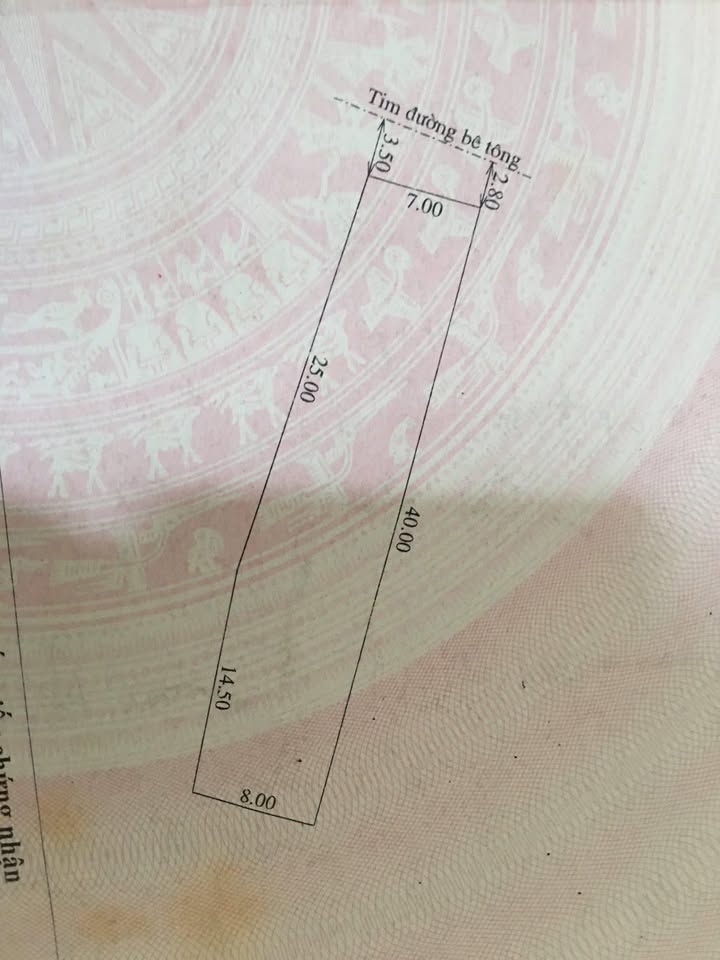 Đất nền Duy Trinh 300m² - Gần dự án, cơ hội đầu tư hấp dẫn!