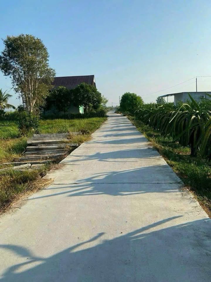 Đất nền Hàm Minh 1814m² giá 600 triệu - Sổ hồng riêng, hướng biển