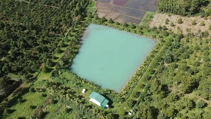 Đất Farm tại xã Ea Tul, Cư M'gar 15.000m² giá 5.9 tỷ - Khung cảnh thiên nhiên tuyệt đẹp!