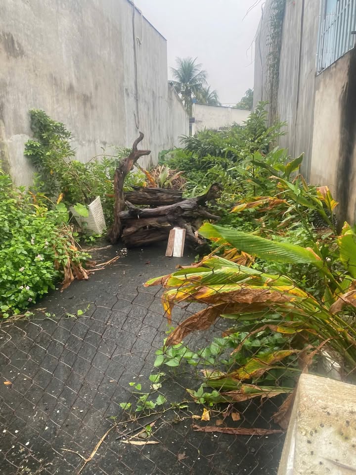 Đất thổ cư Tân Bình Dĩ An 95m² giá 2.55 tỷ - Đường ô tô vào tận nơi!