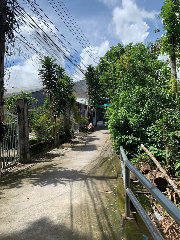 Nhà riêng 3 phòng ngủ tại Mỹ Thới, An Giang giá chỉ 1 tỷ - Sẵn sàng vào ở ngay!