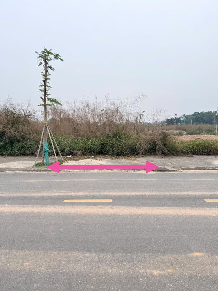 Đất nền KĐT Cầu Trúc – Sông Công Park City 95m² giá 1.75 tỷ - Tương lai sầm uất!