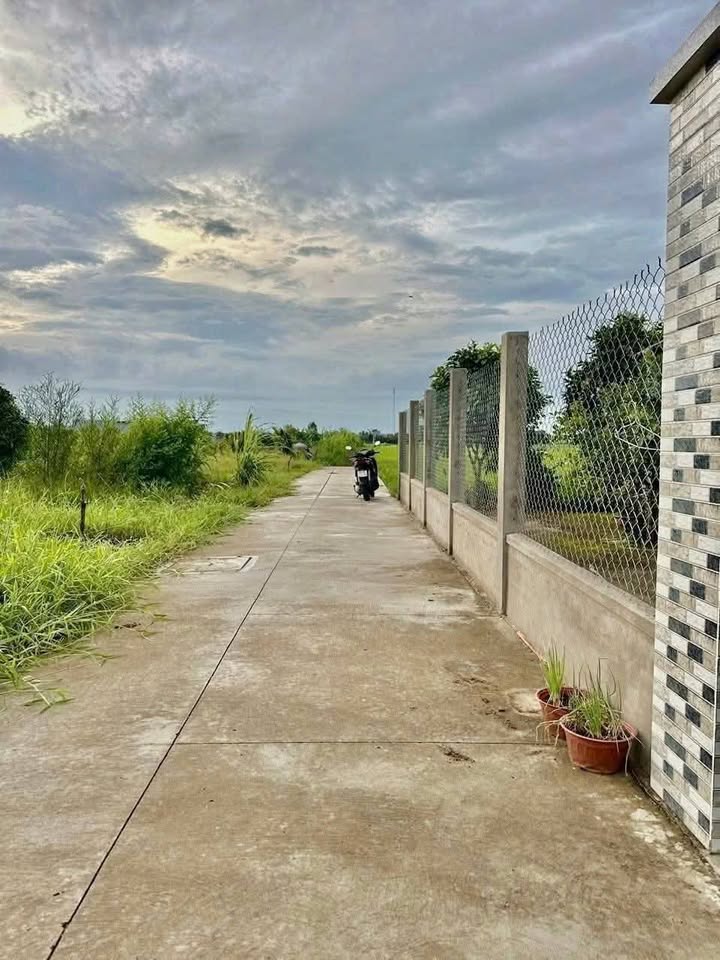 Đất nền Long Thuận - Gò Công 130m² giá 370 triệu - Đường ô tô vào tận nơi!