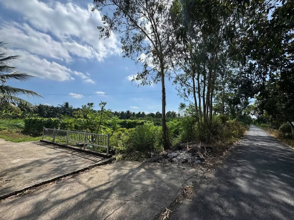 Đất nền mặt tiền đường N3, Mỹ Tho 3000m² giá 15 tỷ - Vị trí kinh doanh đắc địa!