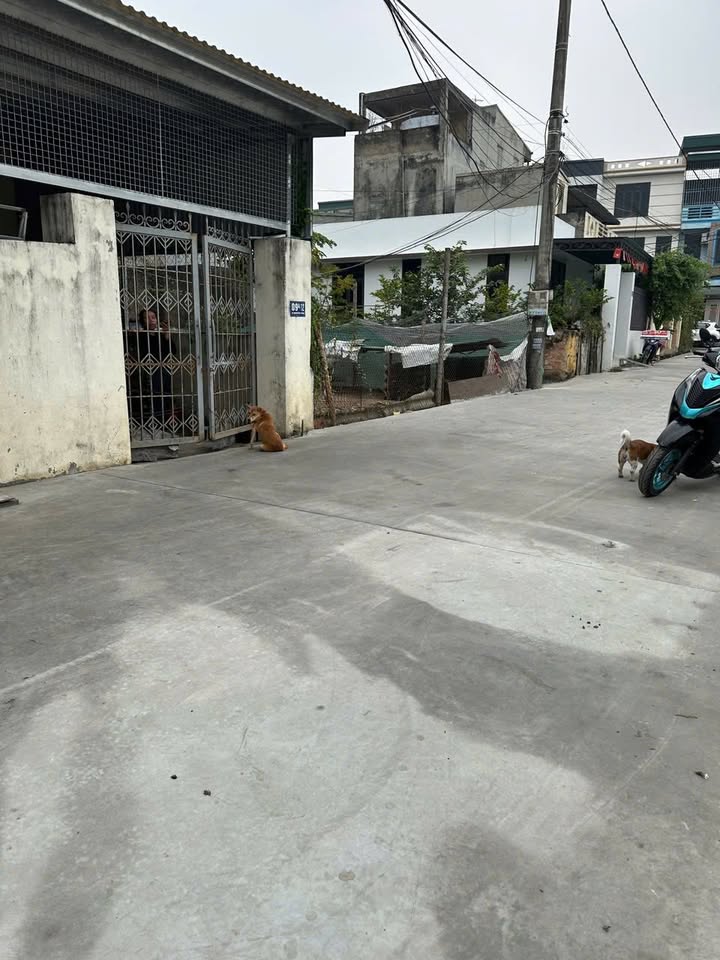 Nhà riêng phường Đông Hương, Thanh Hóa 84m² giá 2 tỷ - Dòng tiền thuê ổn định!