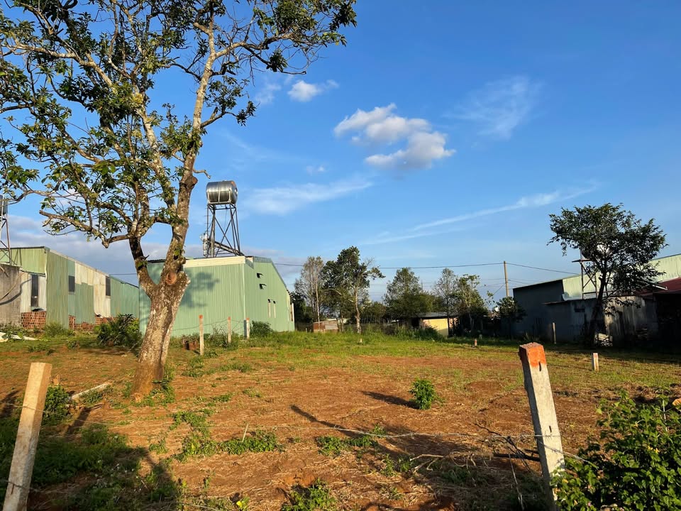 Đất nền hẻm 1024 Trường Chinh 105m² giá chỉ 350 triệu - Cơ hội đầu tư tuyệt vời!