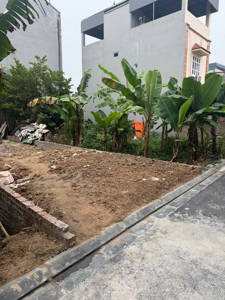 Nhà riêng Cổ Loa, Đông Anh 60m² giá 3.6 tỷ - Vị trí đẹp, gần thị trấn!