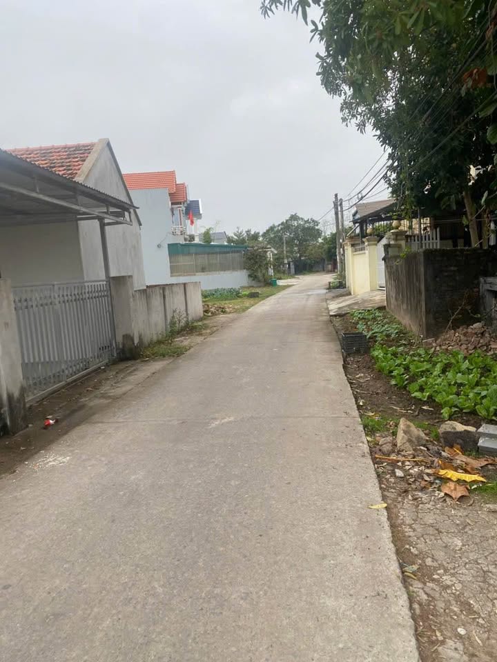 Đất nền khu phố 1 Hải Hoà 322m² giá 1 tỷ - Sổ hồng chính chủ, vị trí đẹp!