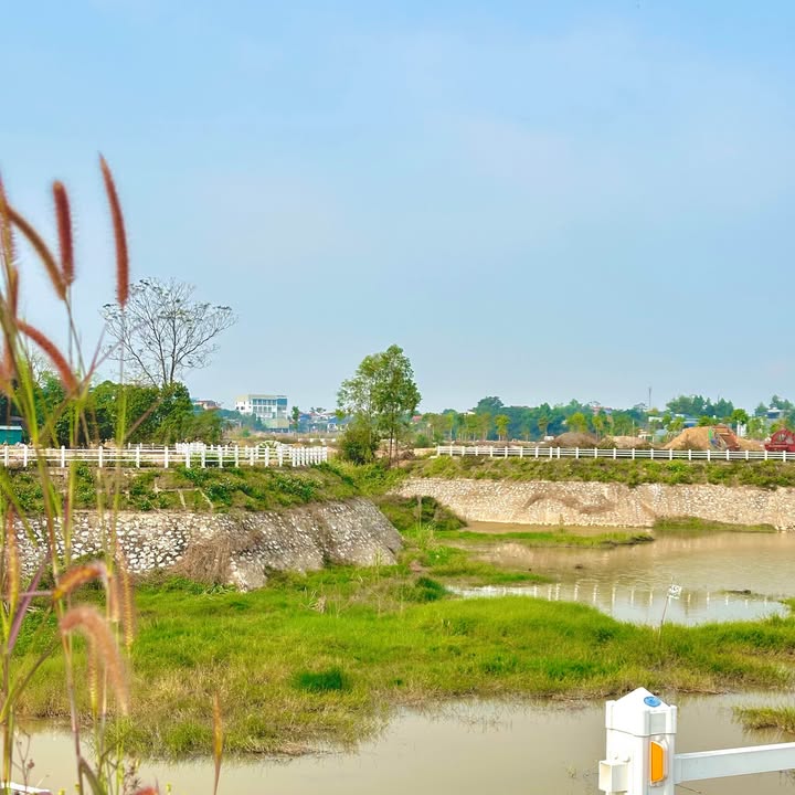 Đất nền dự án Khu dân cư số 1 Tân Lập 120m² giá 6 tỷ - Cơ hội đầu tư hấp dẫn!