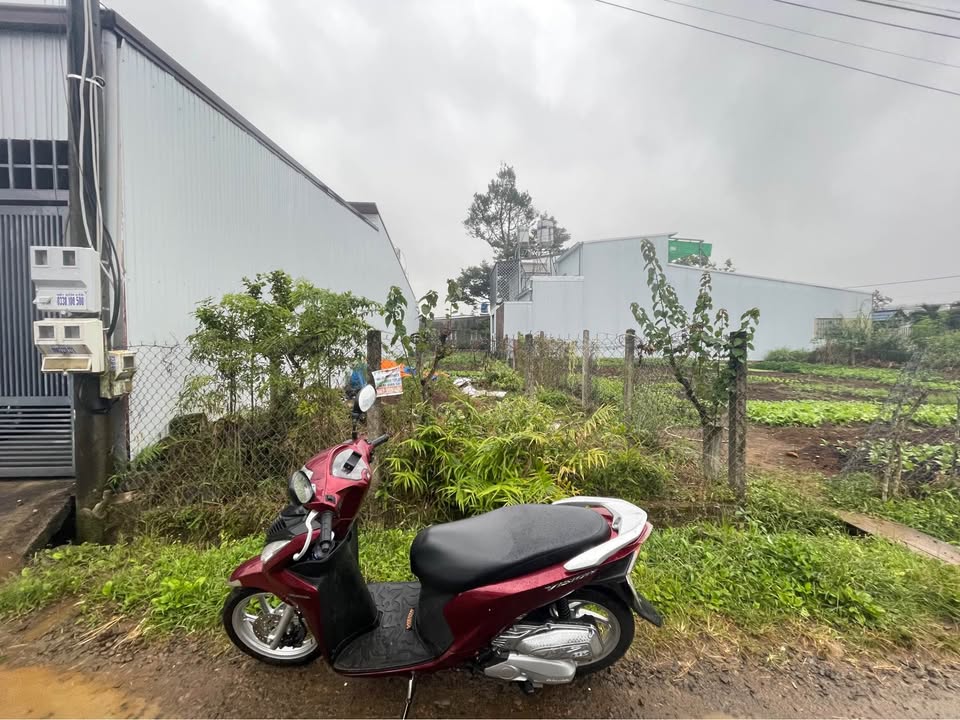 Đất nền Lộc Châu Bảo Lộc 162m² giá 1.6 tỷ - Xây dựng tự do ngay!