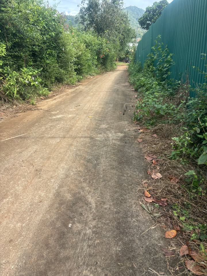 Đất 6 sào 9 Buôn Ma Thuột, Đắk Lắk giá 4.73 tỷ - Đường bê tông ô tô vào tận nơi!