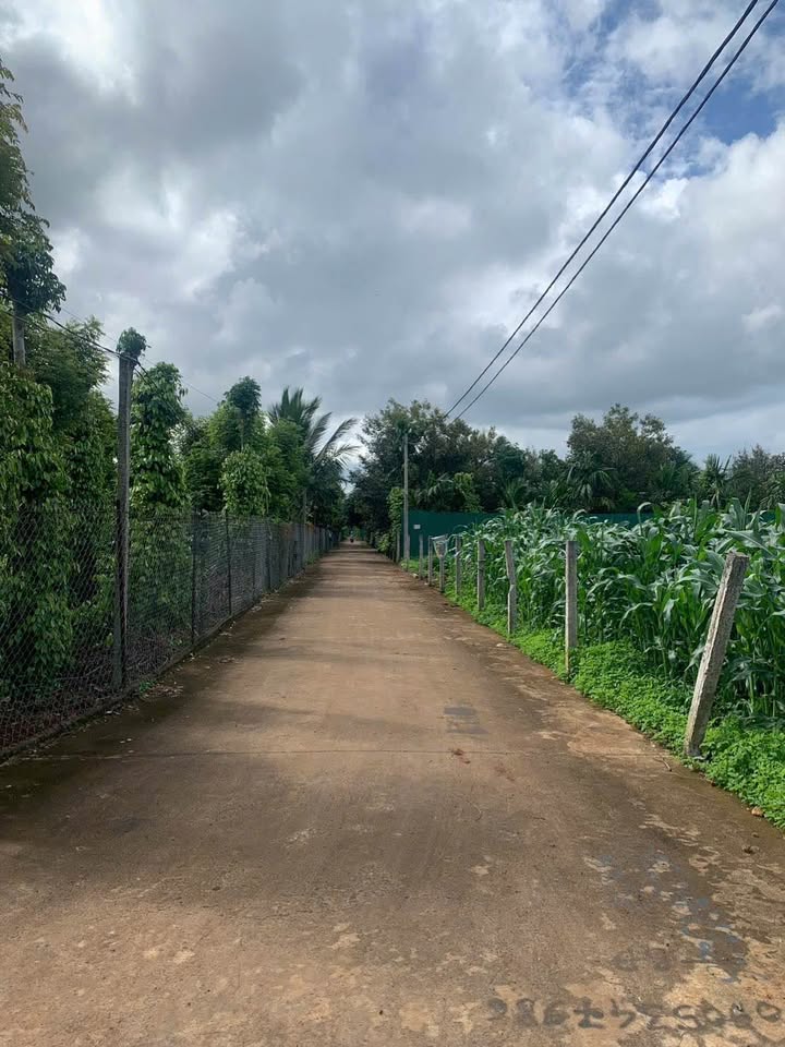 Đất nền Ea Tu, Buôn Ma Thuột 190.8m² giá 950 triệu - Cơ hội đầu tư tuyệt vời!