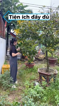 FrontHouse đường Phước Tường 1, Cẩm Lệ 105m² - Vị trí vàng hiếm có!